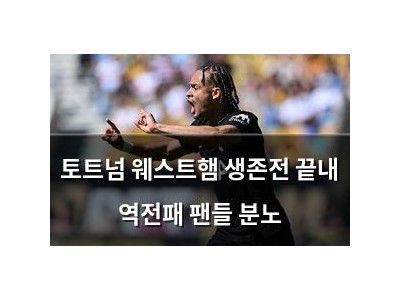 토트넘 웨스트햄 생존전 끝내 역전패 팬들 분노