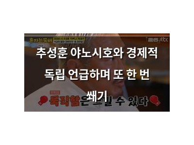 추성훈 야노시호와 경제적 독립 언급하며 또 한 번 쐐기