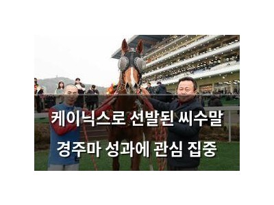 케이닉스로 선발된 씨수말 경주마 성과에 관심 집중