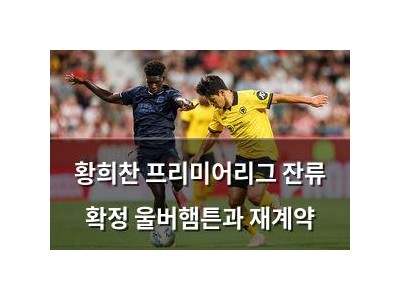 황희찬 프리미어리그 잔류 확정 울버햄튼과 재계약