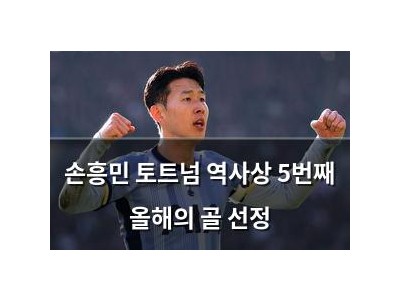 손흥민 토트넘 역사상 5번째 올해의 골 선정