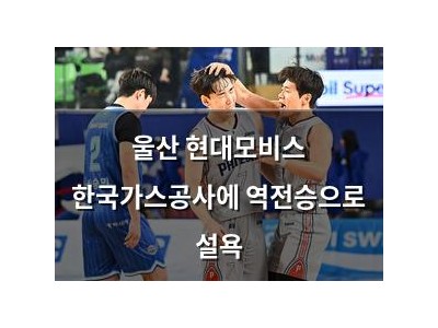 울산 현대모비스 한국가스공사에 역전승으로 설욕