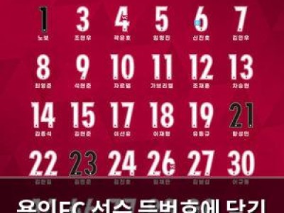 용인FC 선수 등번호에 담긴 의미