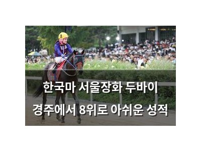 한국마 서울장화 두바이 경주에서 8위로 아쉬운 성적