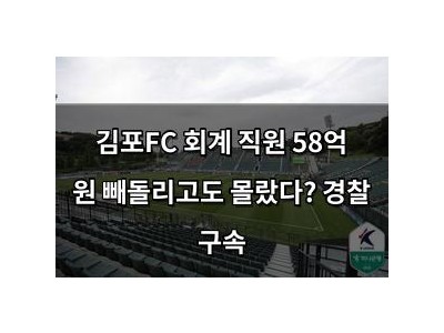 김포FC 회계 직원 58억 원 빼돌리고도 몰랐다? 경찰 구속